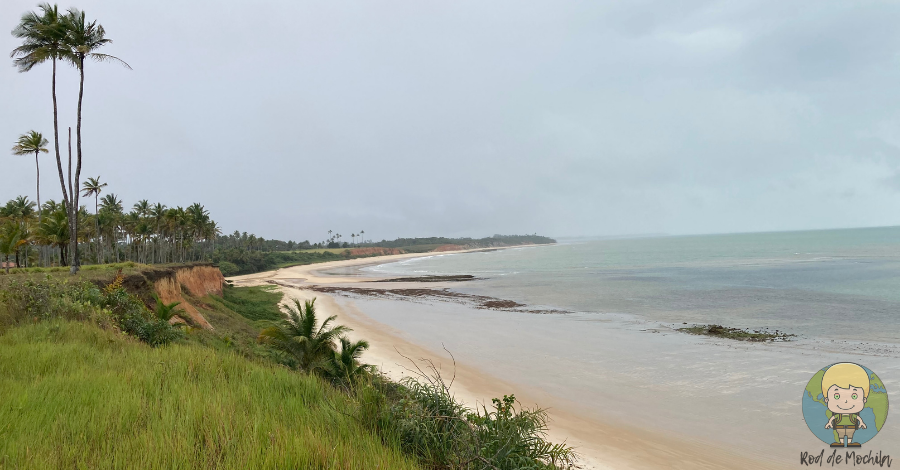 Praia do Imbassuaba num dia ainda cinza vista do topo da falésia e de dentro de uma fazenda de cocos.